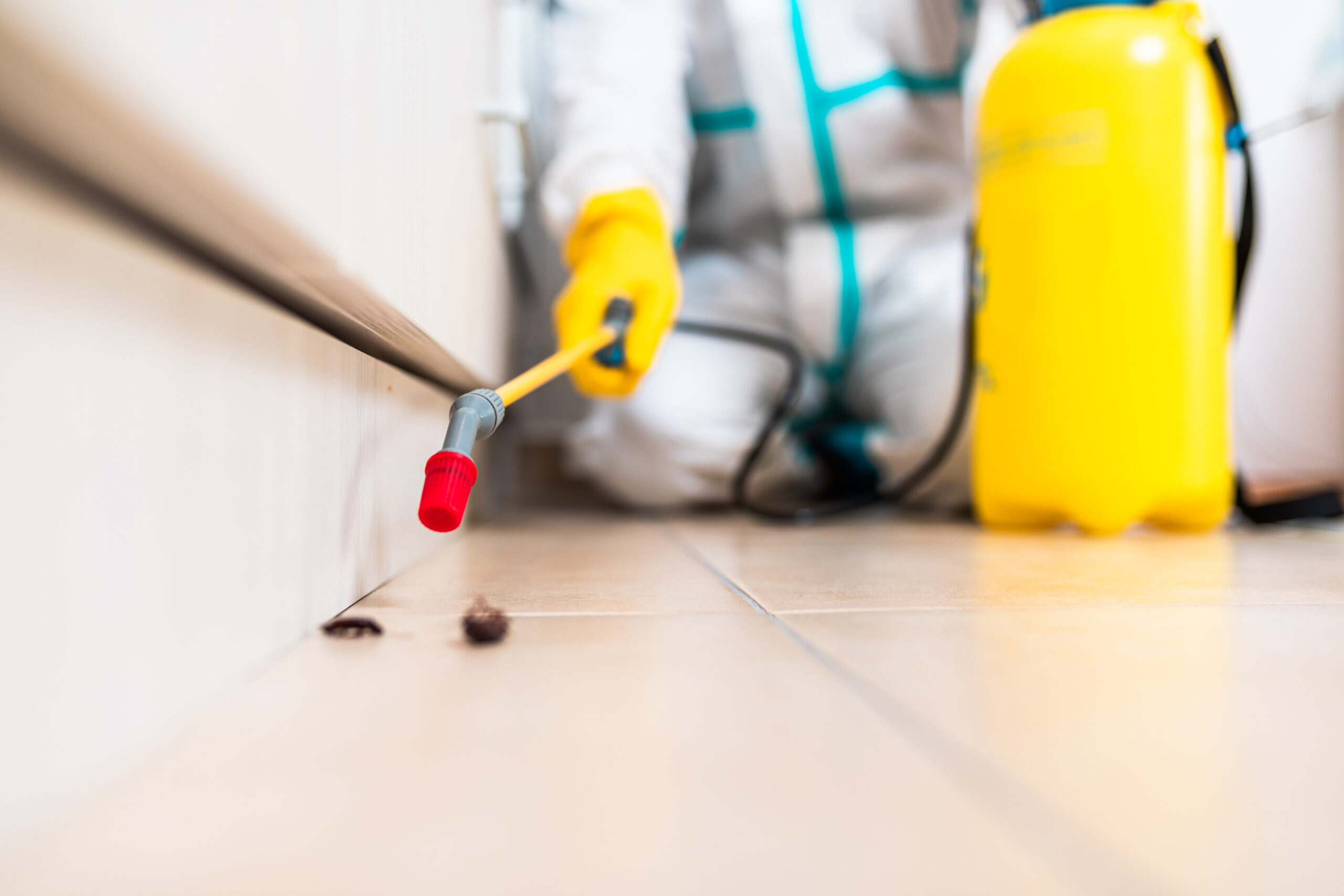 Property Pest Inspection Fort Lauderdale