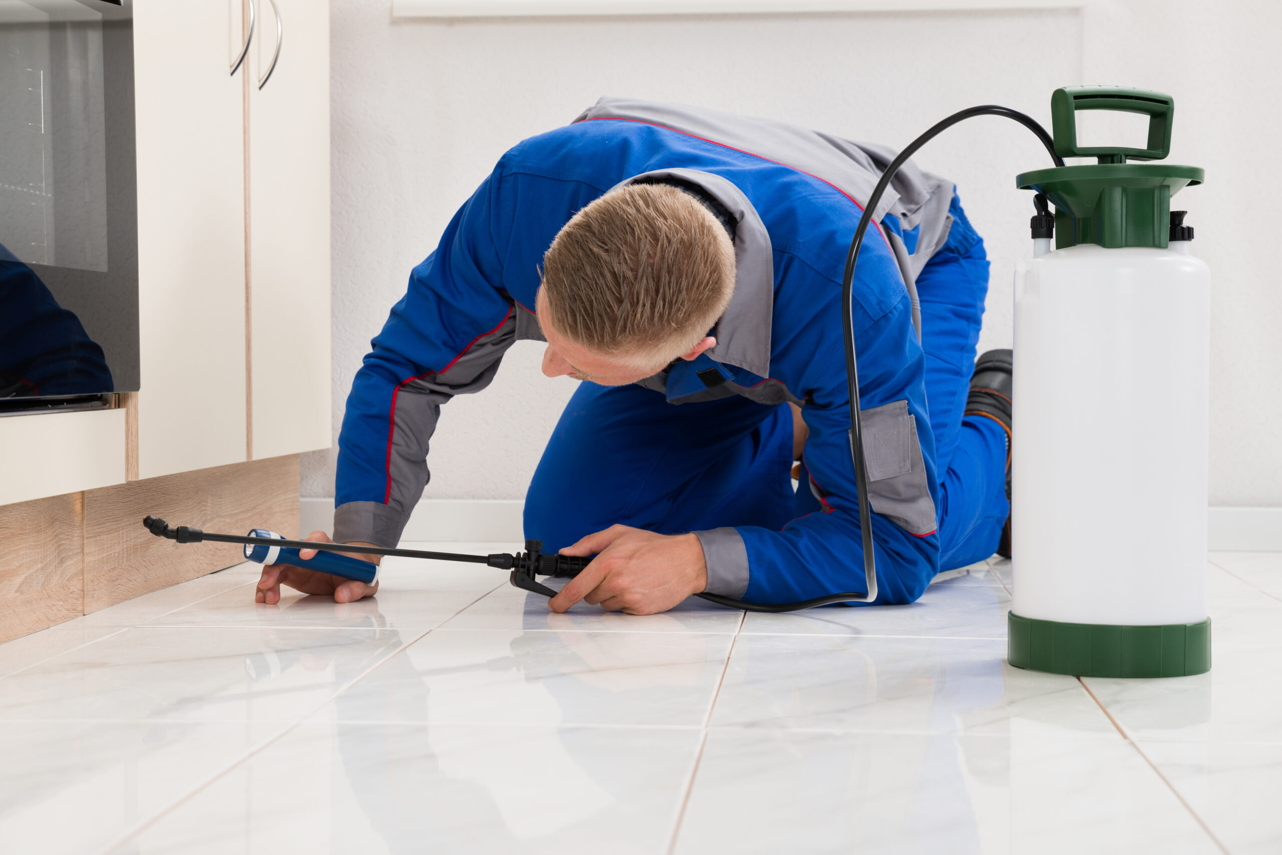 Pest Treatment Plans Fort Lauderdale